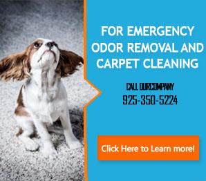 Water Damage - Carpet Cleaning Lafayette, CA