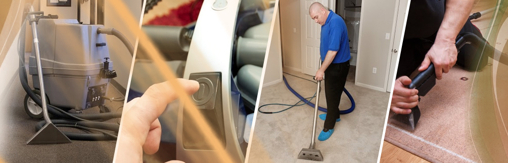 Cleaning Pet Hair - Carpet Cleaning Lafayette, CA