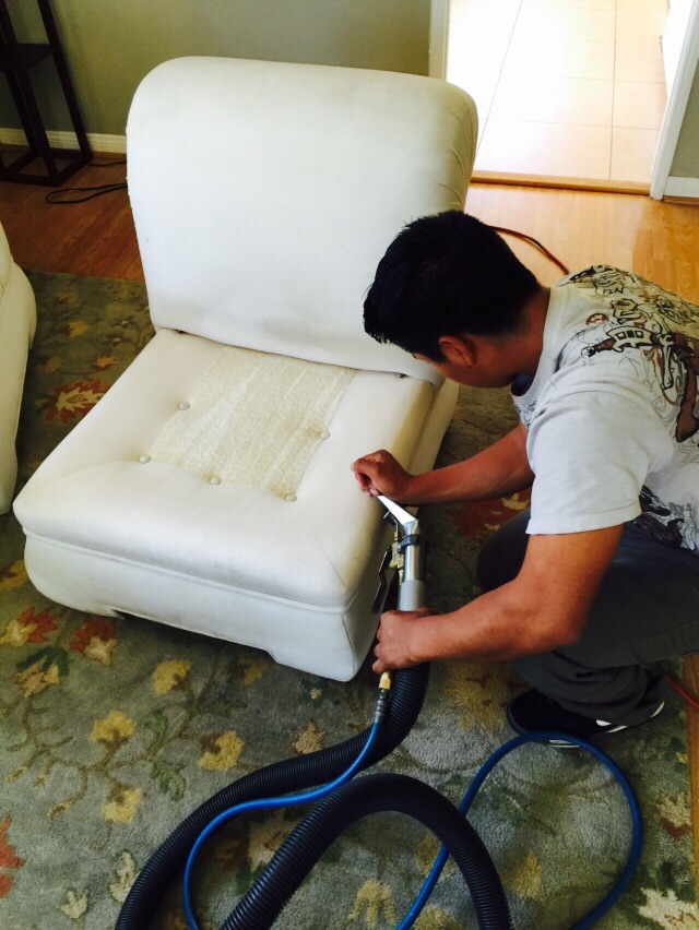 Sofa Cleaning