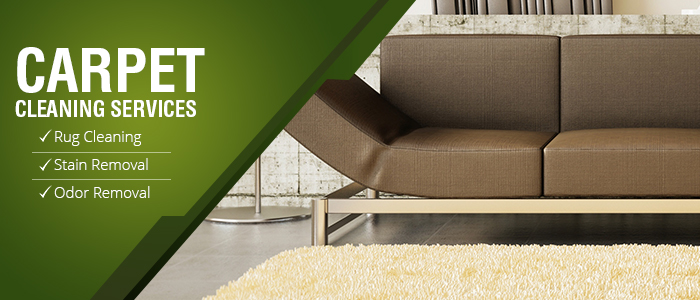 Carpet Cleaning Services in California